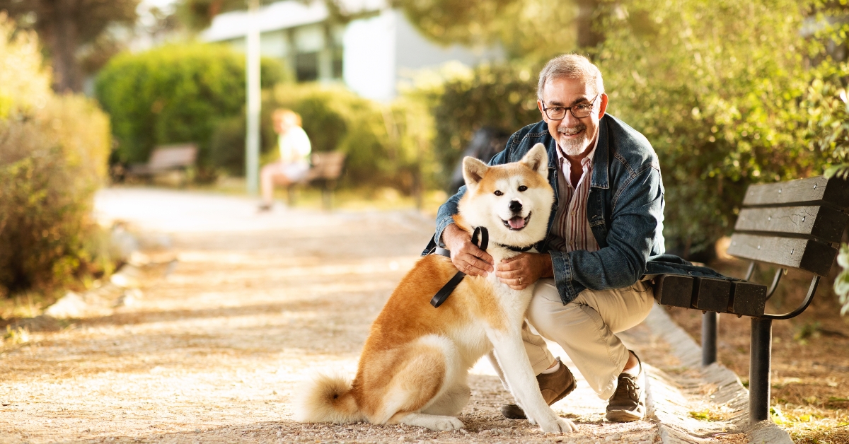 old man hugs dog in park