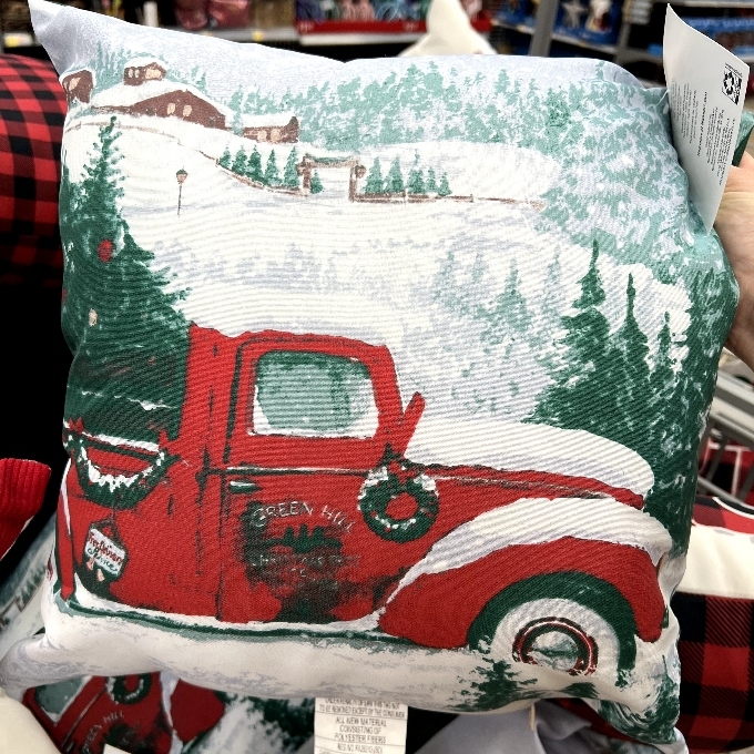 winter theme outdoor throw pillow