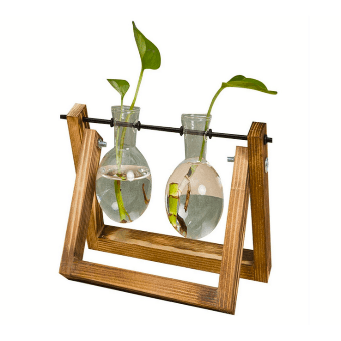 shein-planter with wooden stand