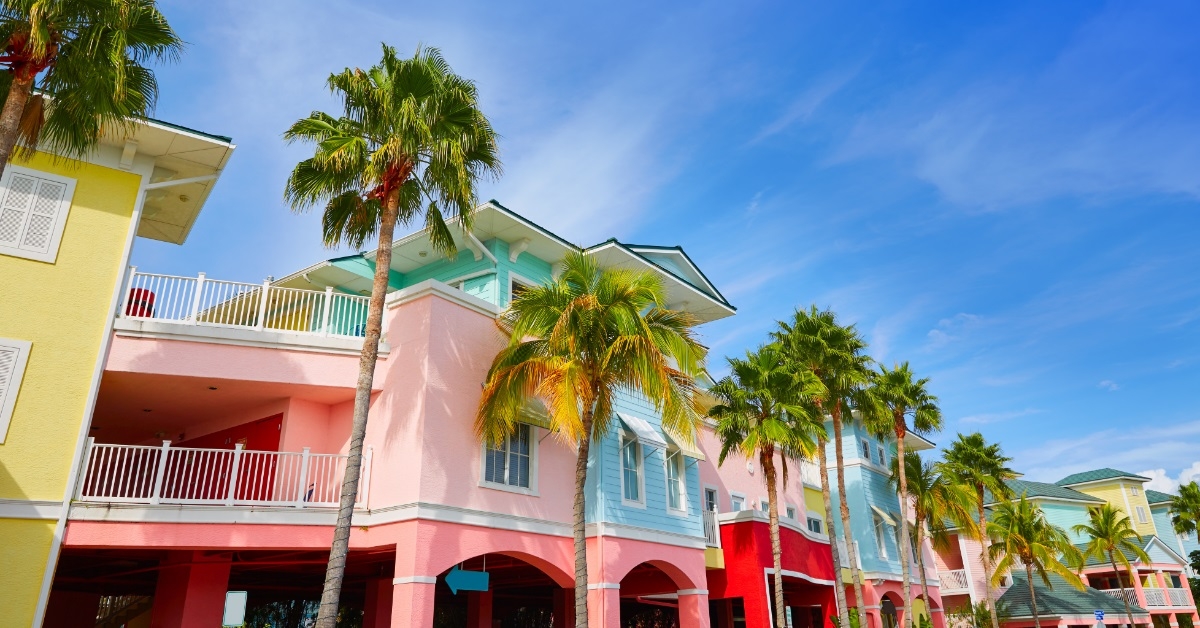 palm trees in florida fort myers
