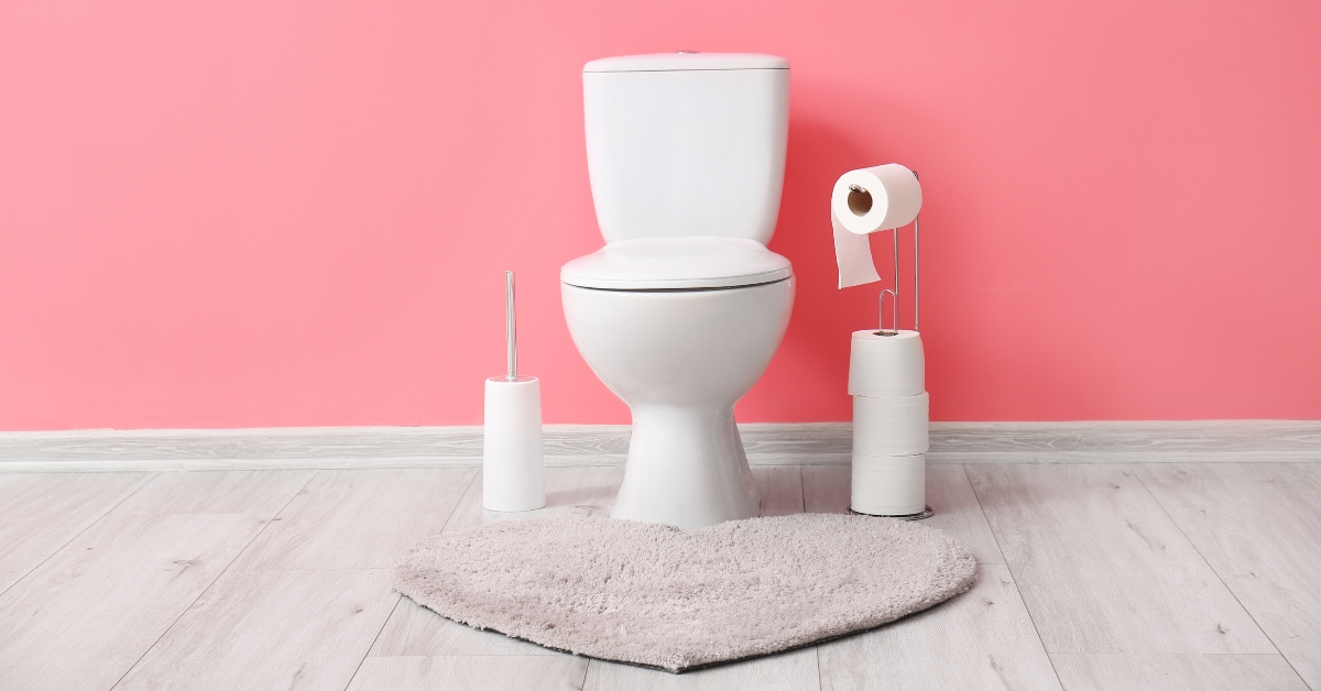 holder with rolls of paper