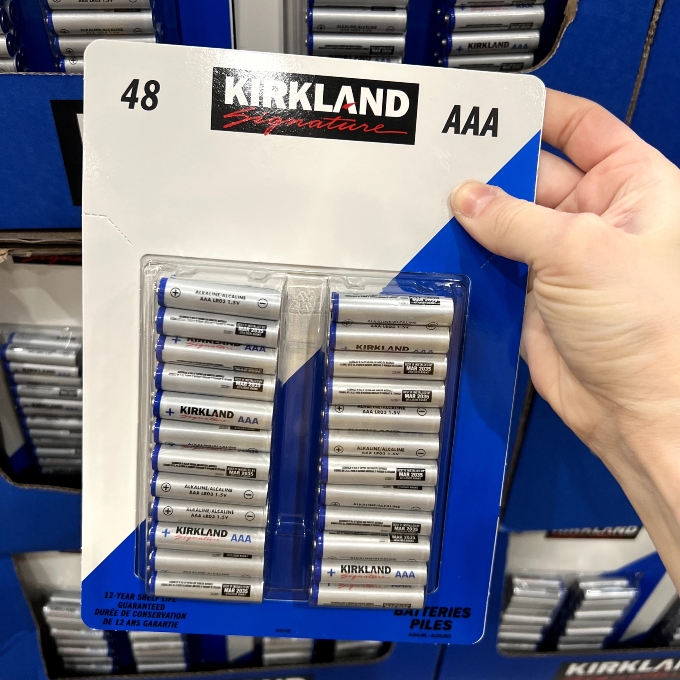 aaa alkaline batteries