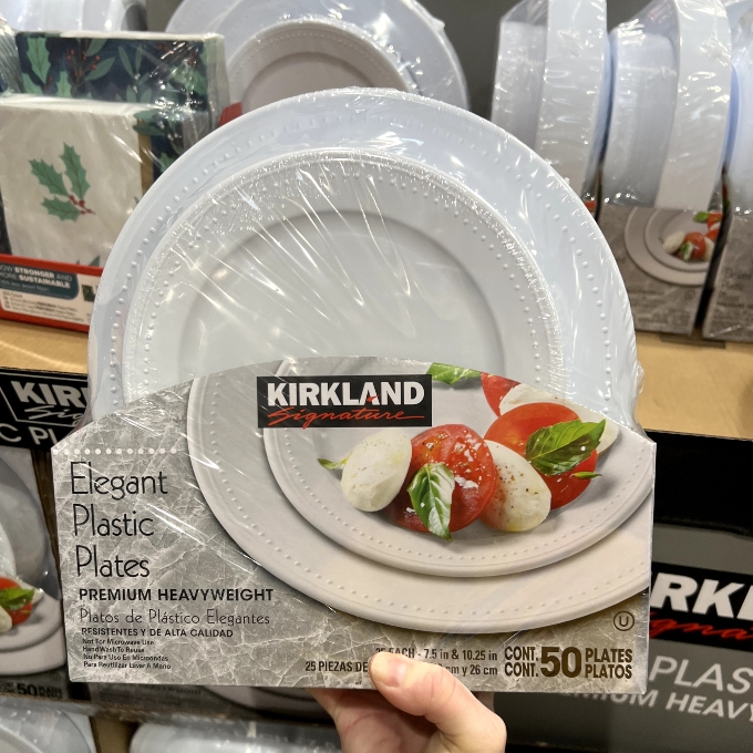 elegant plastic plates