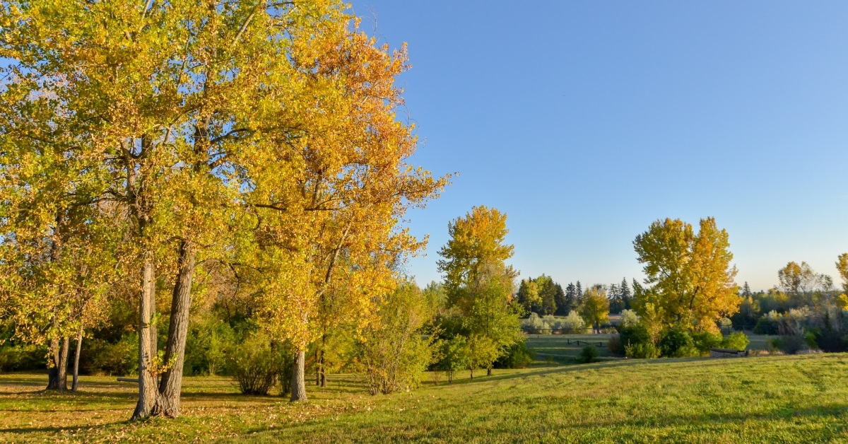 autumn cherry hills village denver colorado