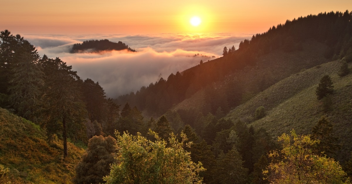 pacific ocean covered in fog