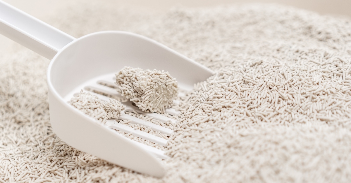 clumping tofu flushable cat litter