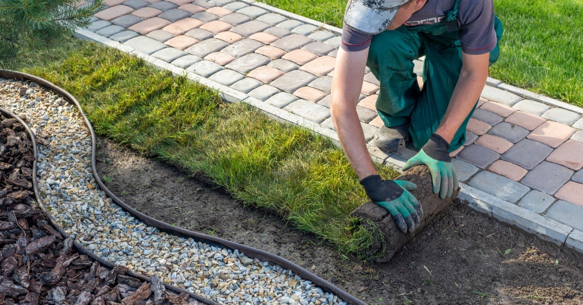 landscape gardener laying turf