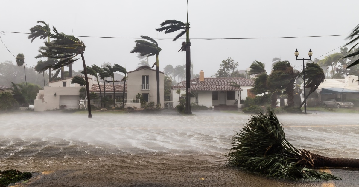 las olas blvd in hurricane irma