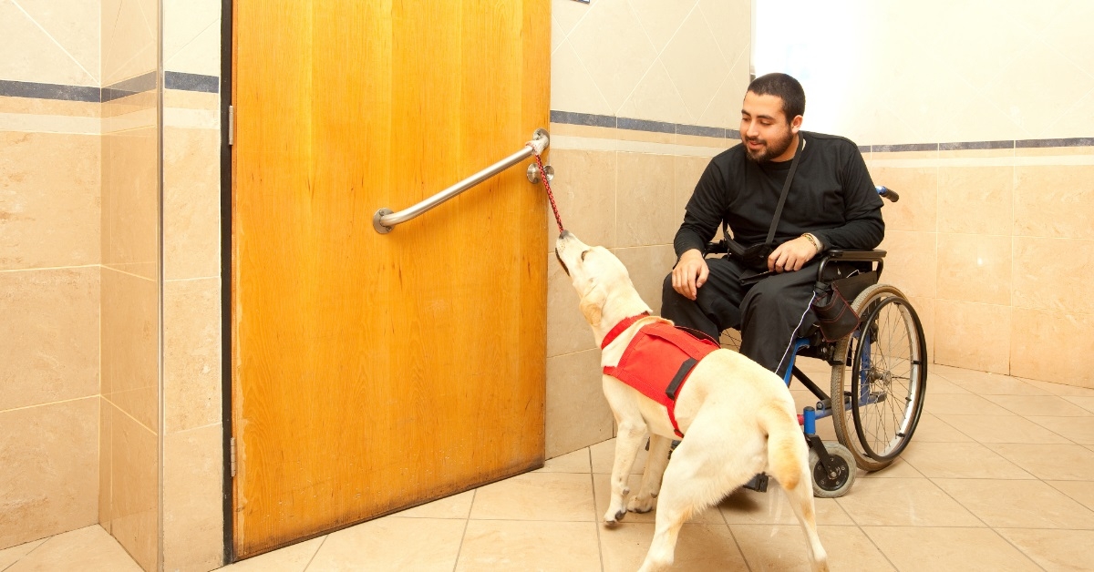 disabled man visiting bathroom with dog
