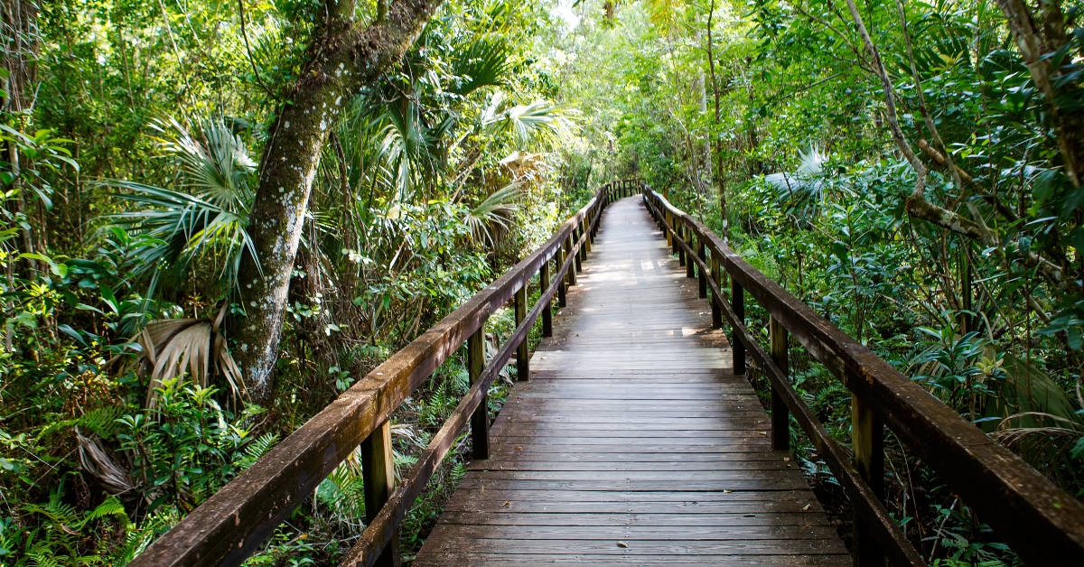everglades national park