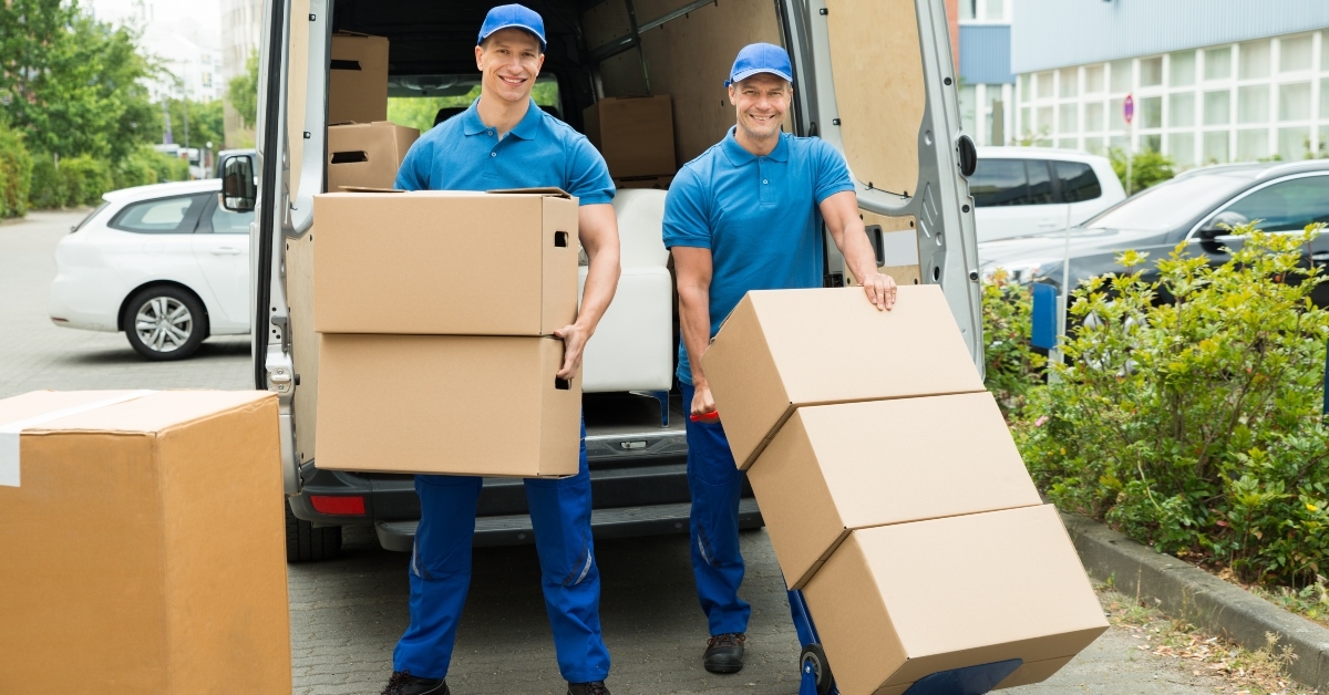 workers loading cardboard boxes