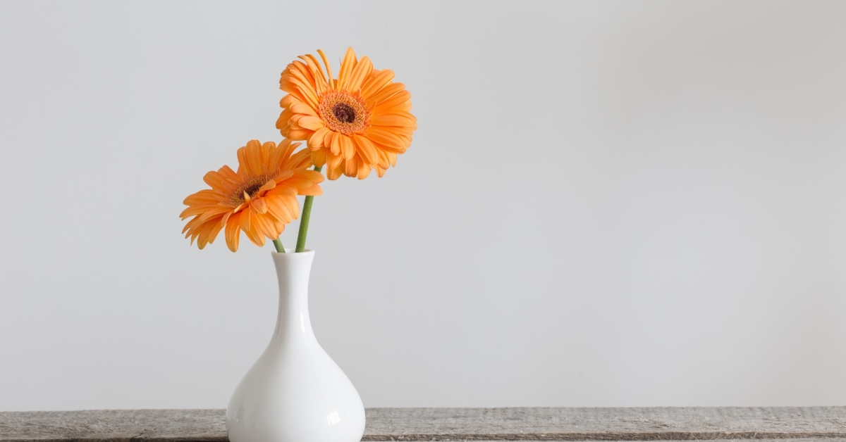Gerbera in vase on wooden table