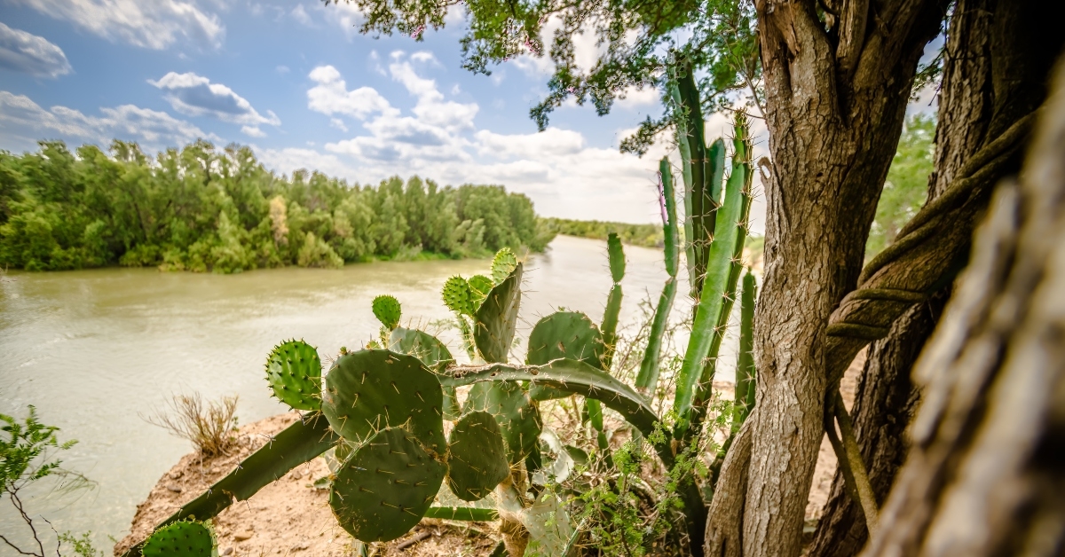 rio grande texas