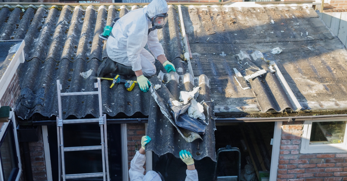 professional asbestos removal