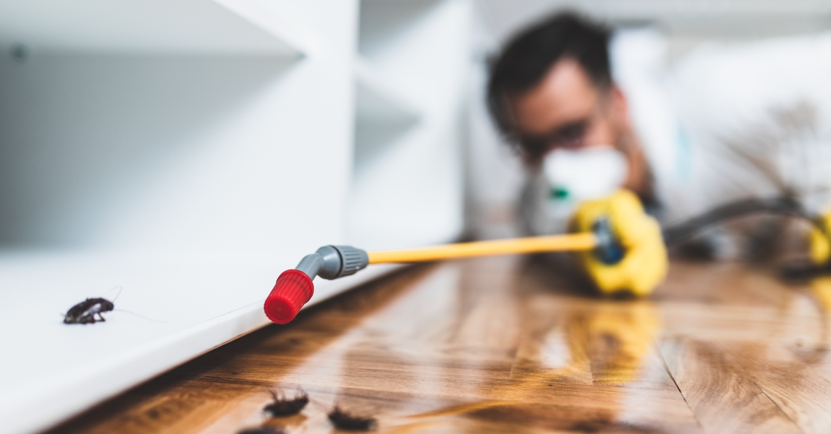 spraying pesticide with sprayer