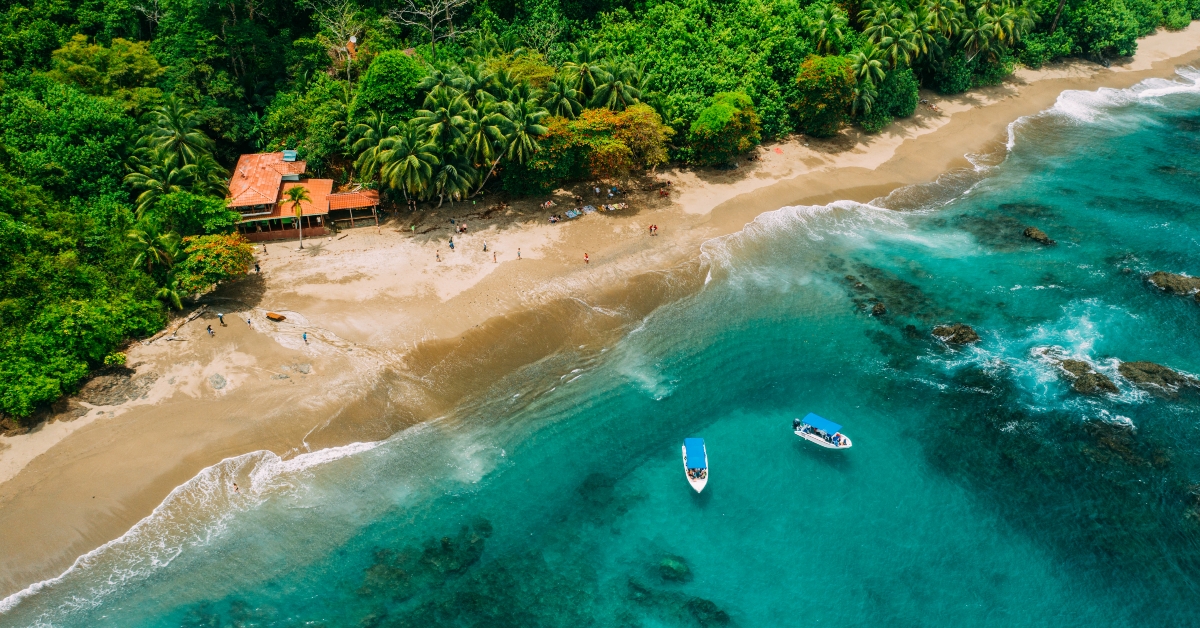 lush jungle in costa rica