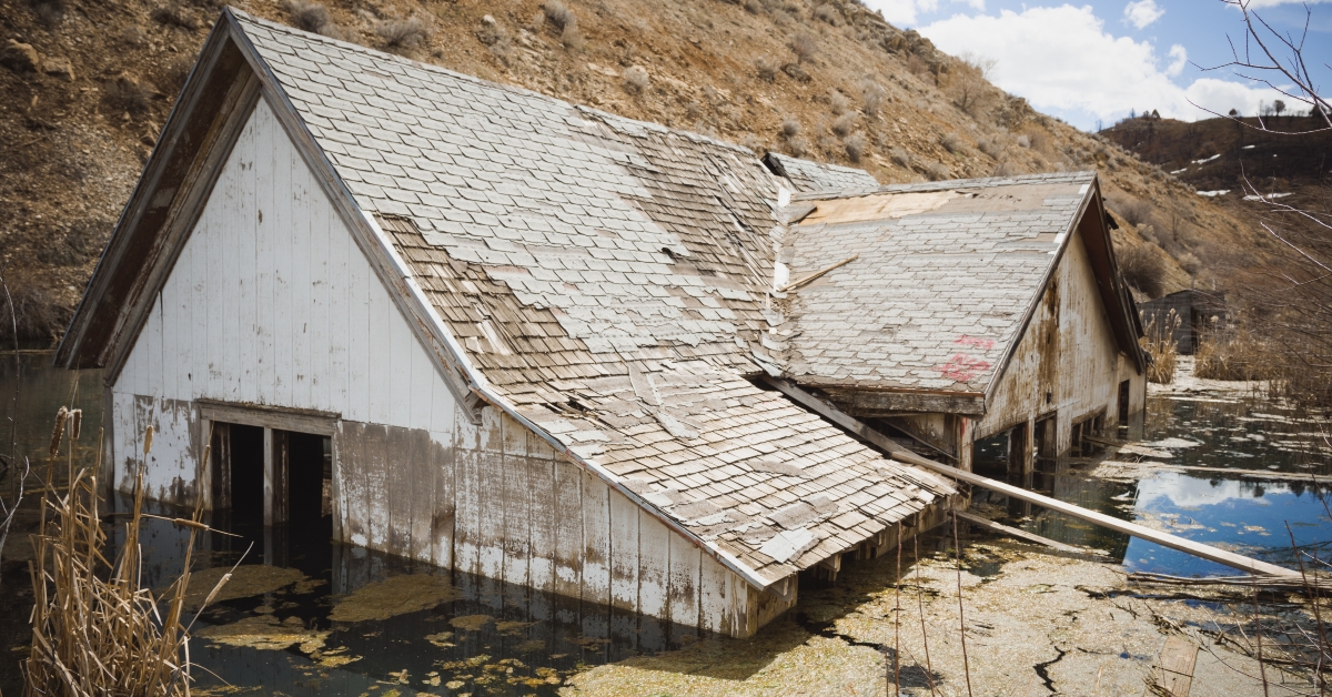 flooded house in marshy bog