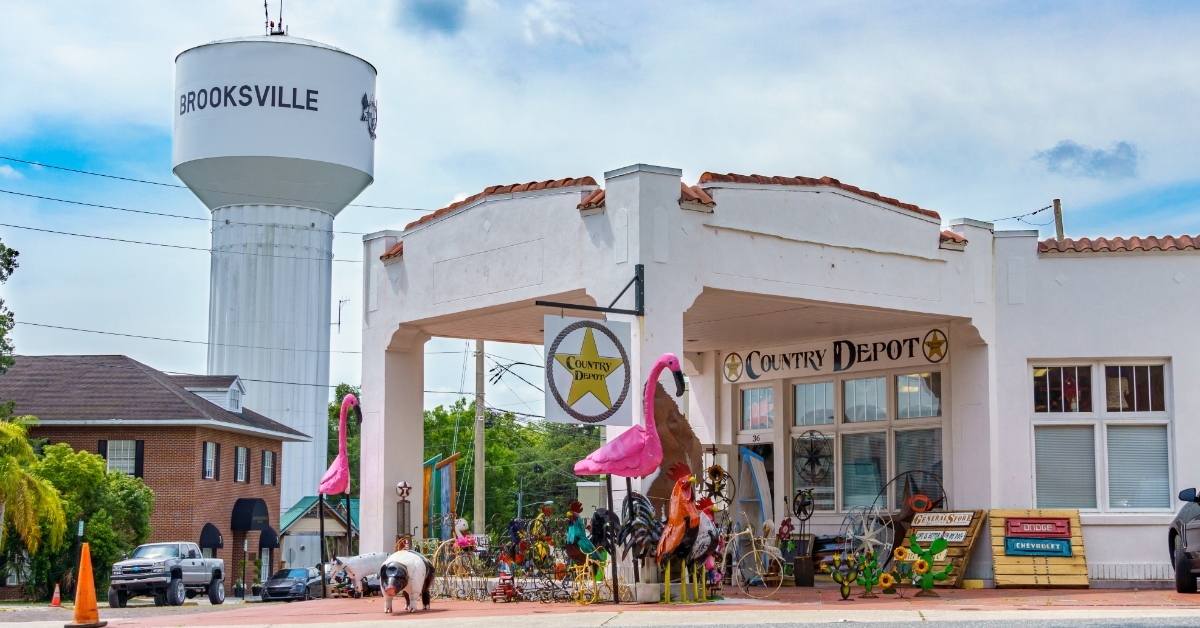 Brooksville water tower and Country Depot