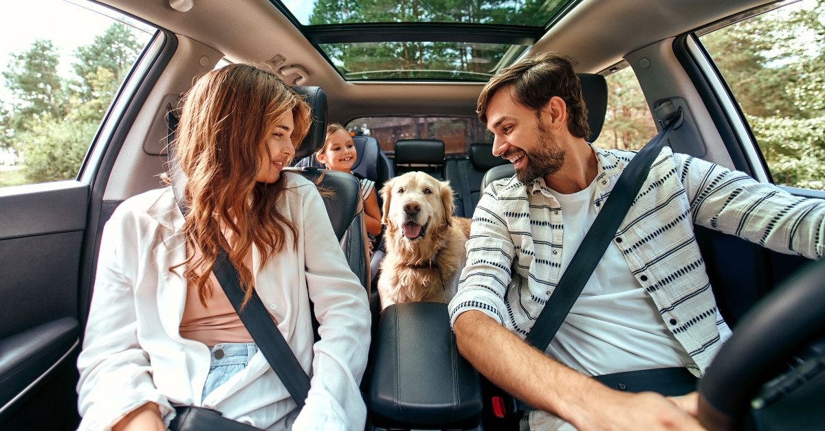family driving with a dog