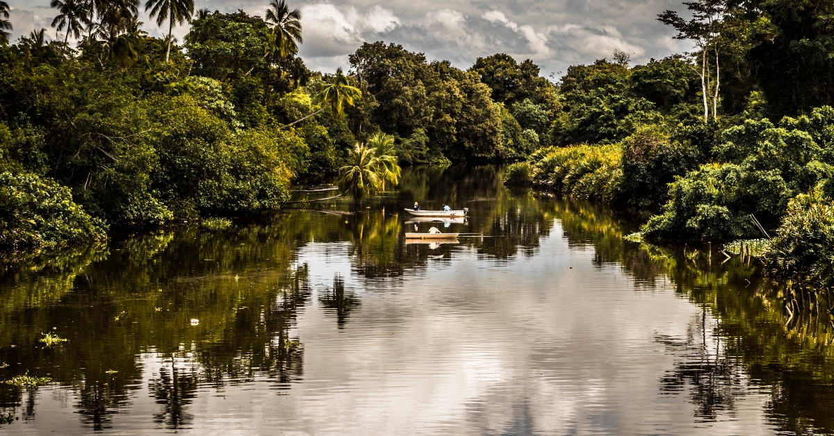 fishing boats on jungle river
