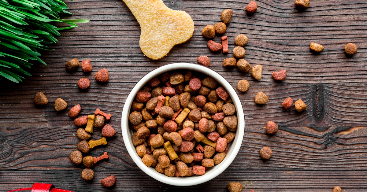 dry dog food in bowl adobe