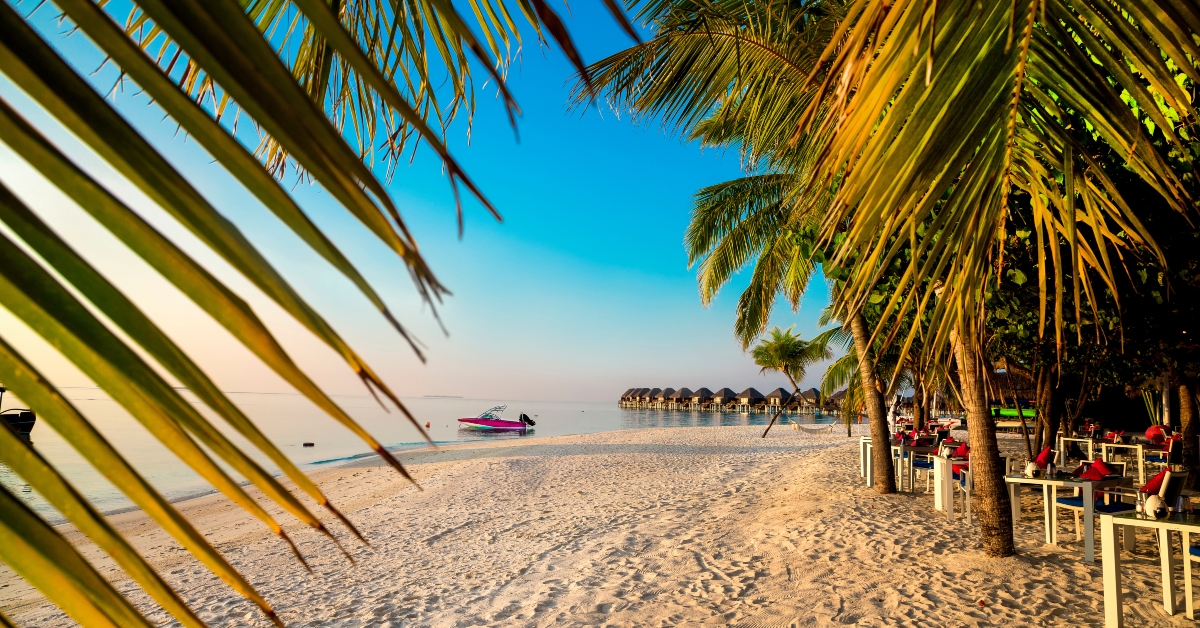 landscape on maldives island