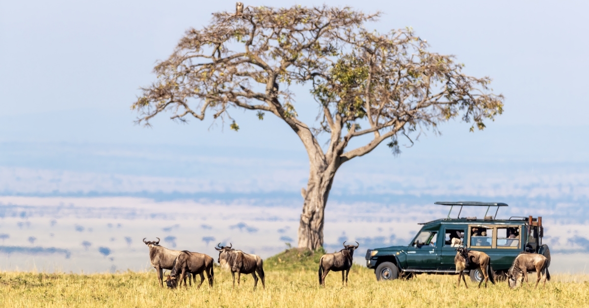 safari vehicle in Masai Mara Kenya