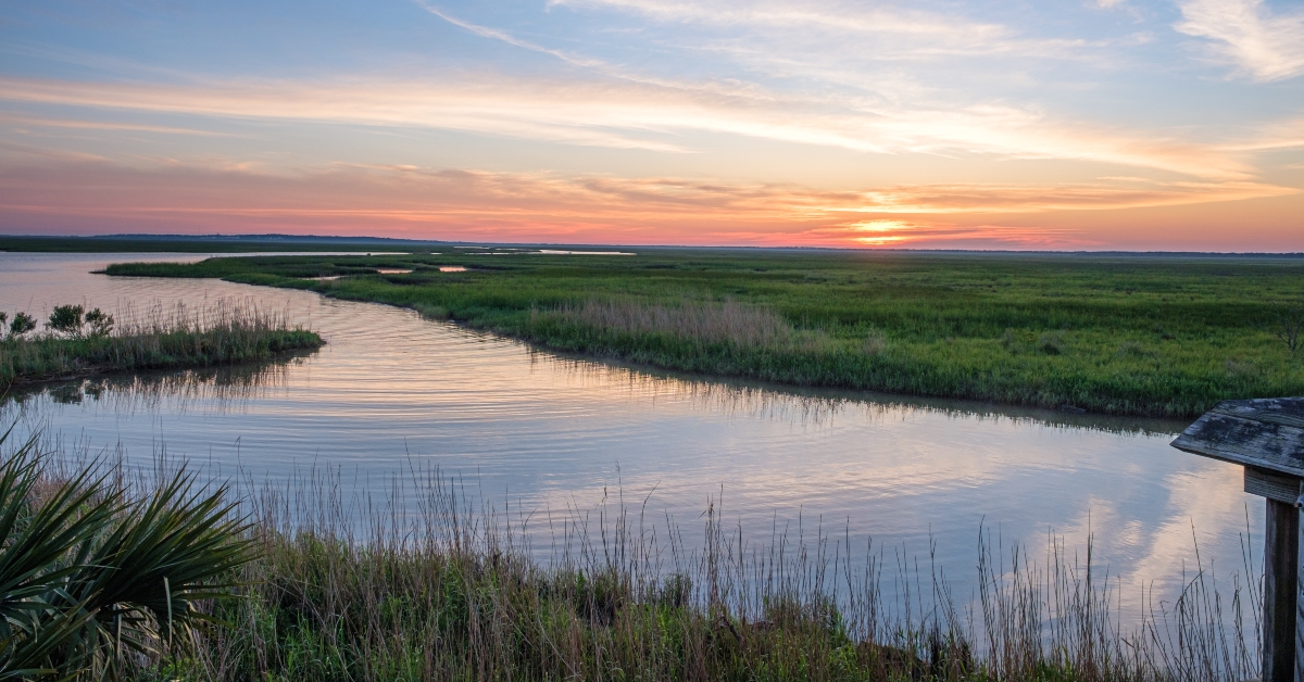 sunrise at cypremort point