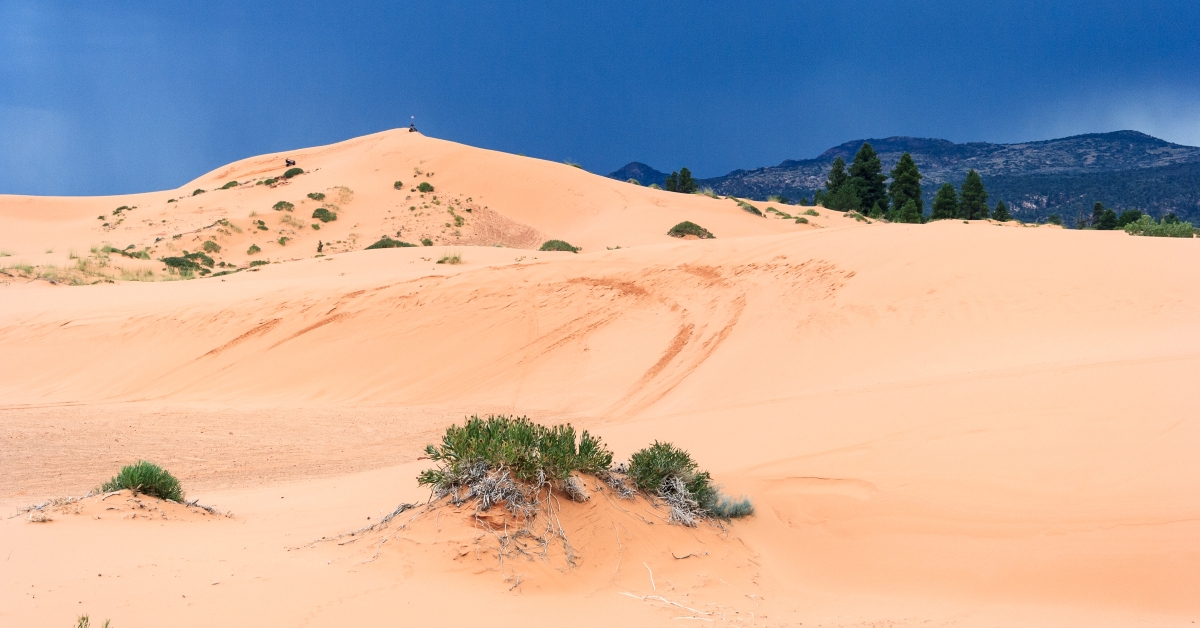 coral pink sand dunes