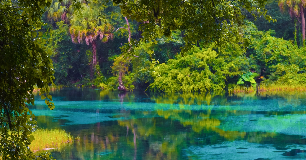 rainbow springs state park