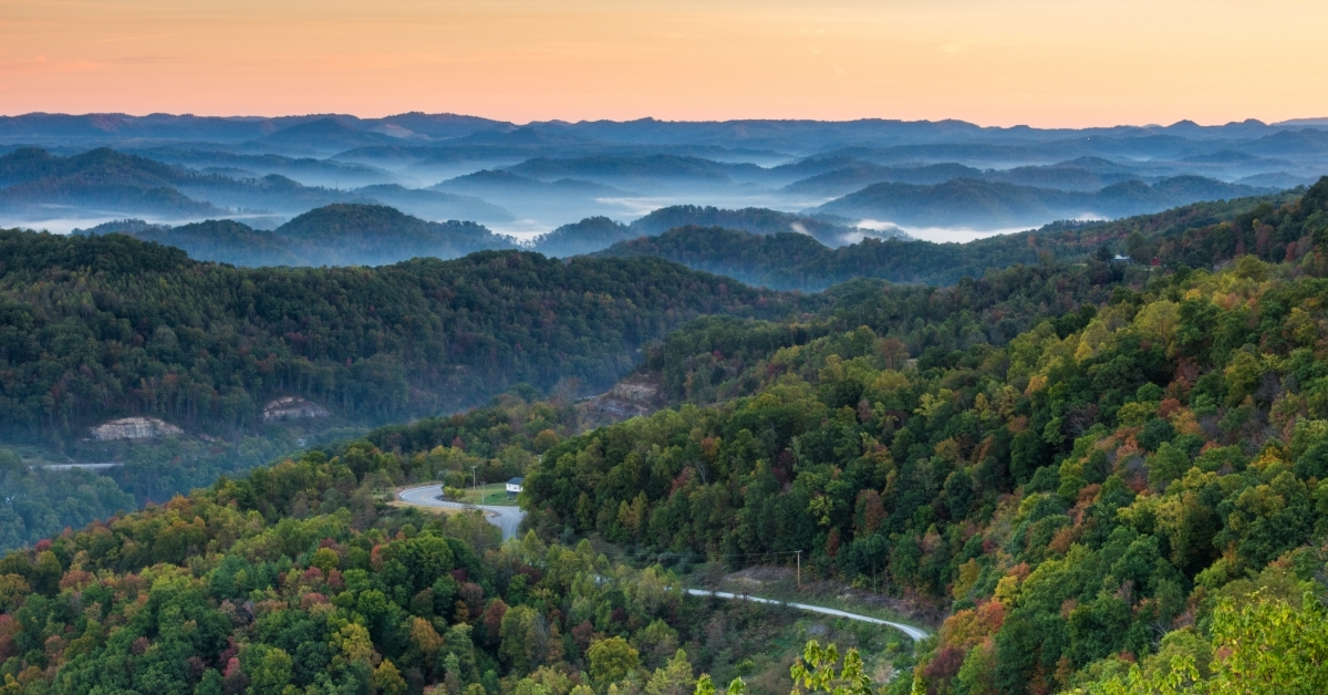 Road Winding Through Forest with Mountains