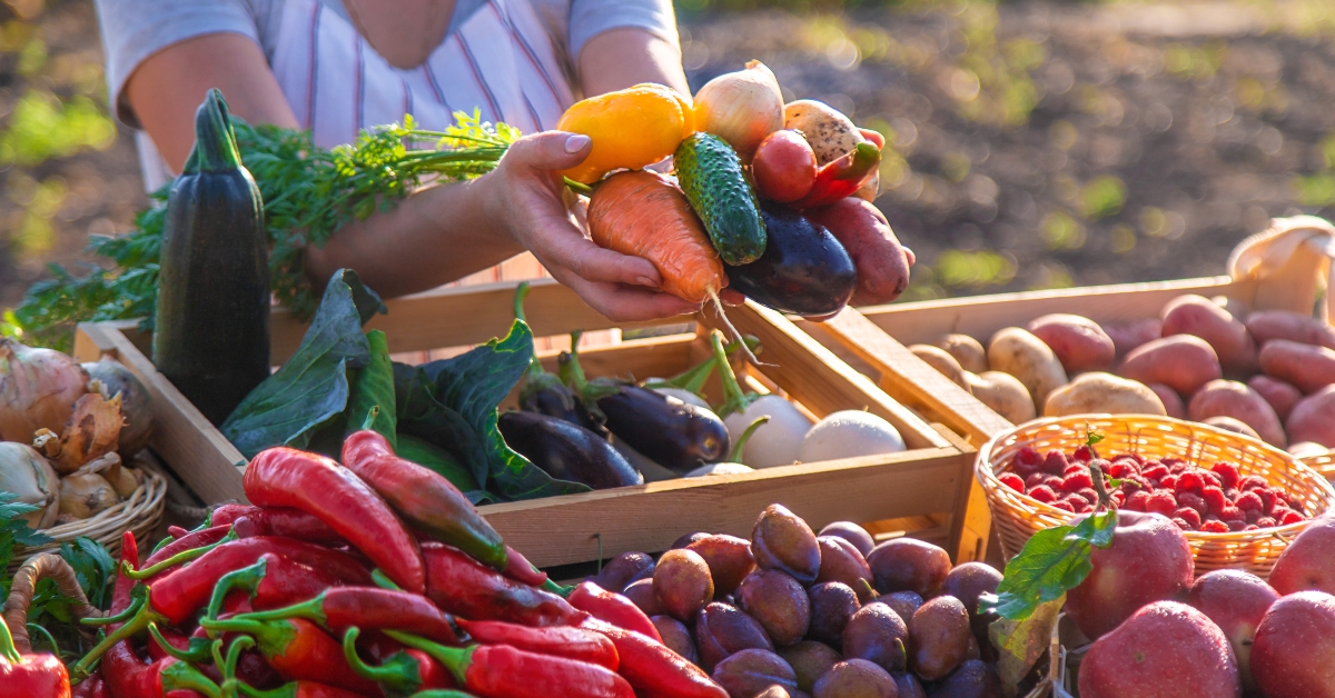farmer sells fruits and vegetables