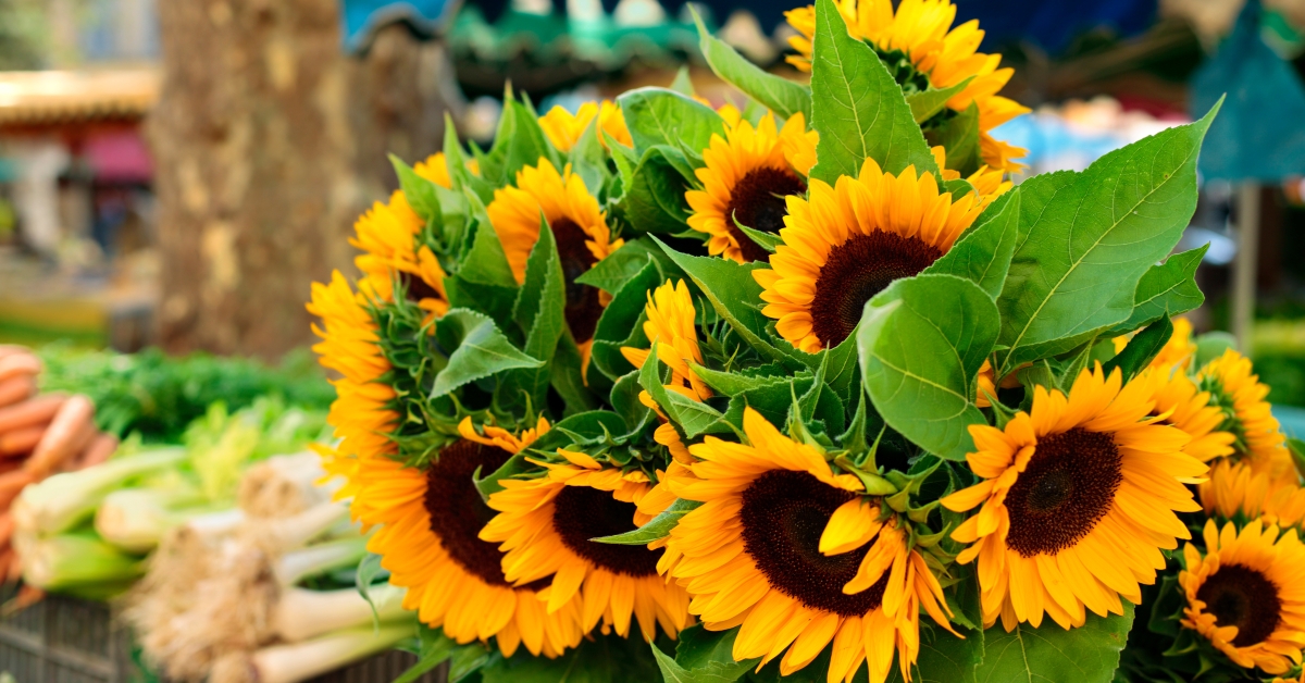 farmers market with sunflowers