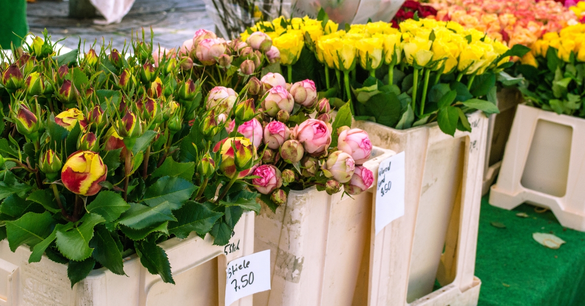 flowers for sale