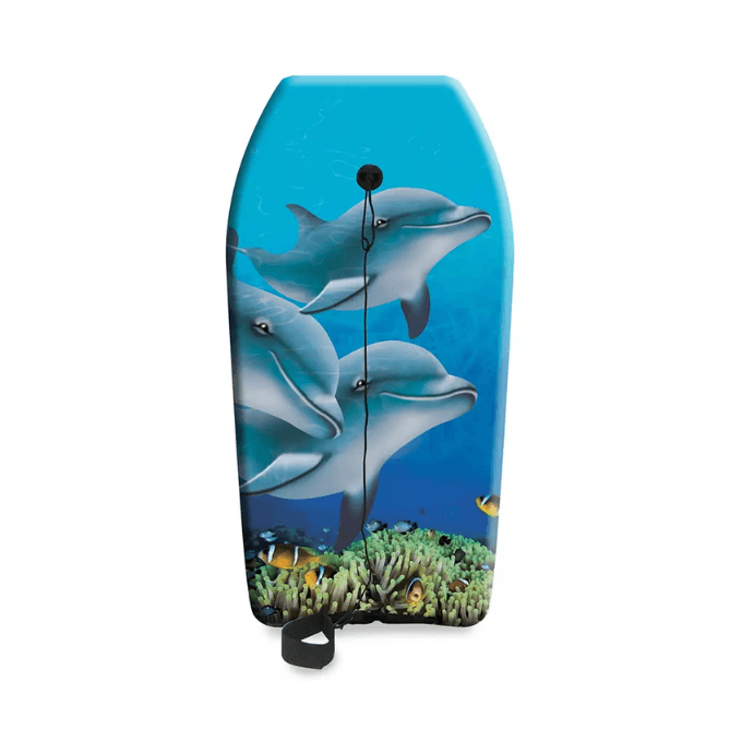 dolphin & fish bodyboard