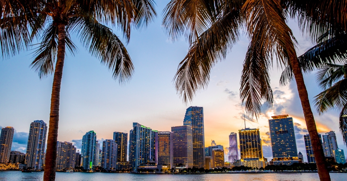 Miami Florida skyline through palm trees