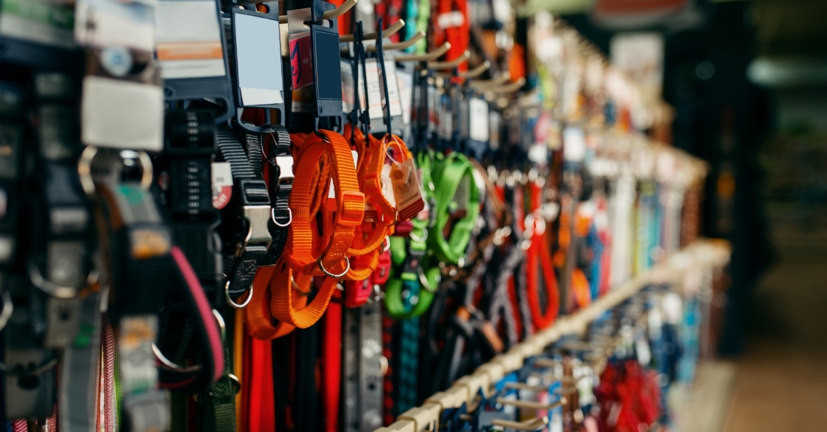 Leashes and collars variety on showcase