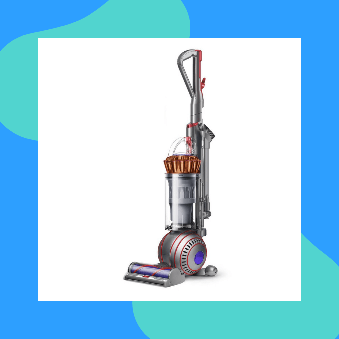 Dyson ball animal 3