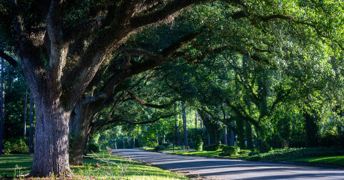 third avenue oaks albany georgia