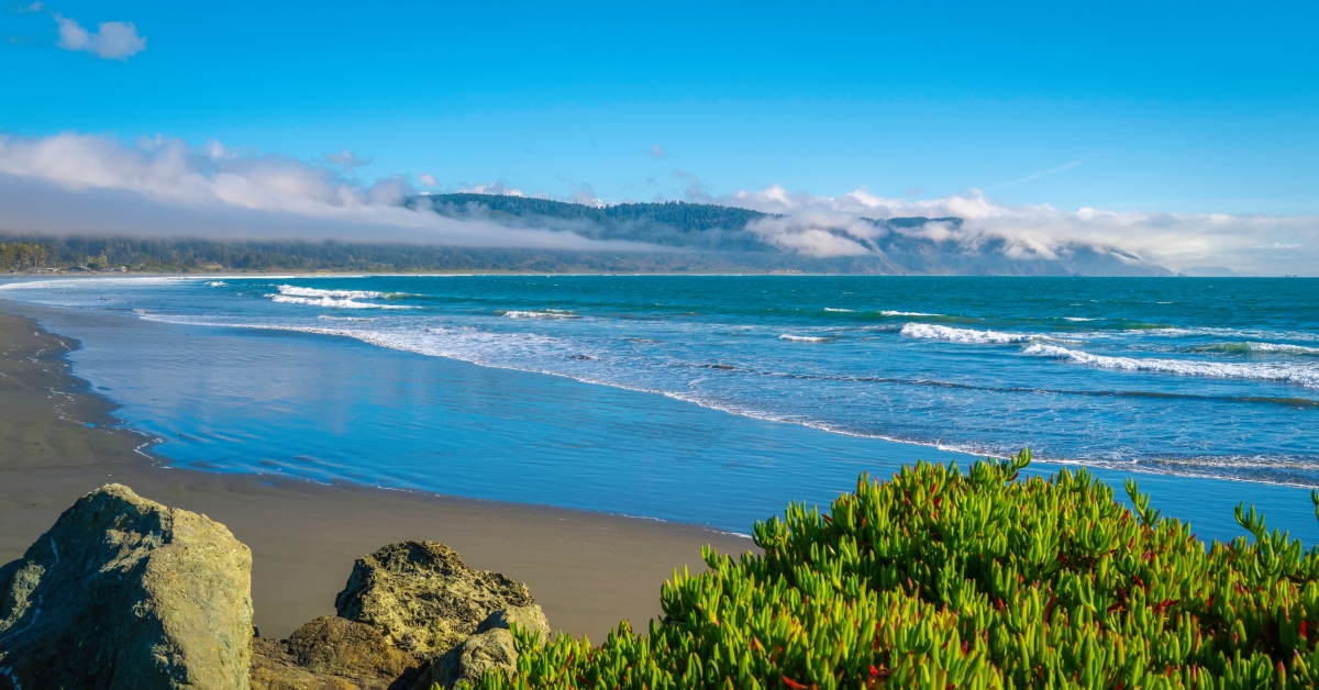 seascape over the green beach