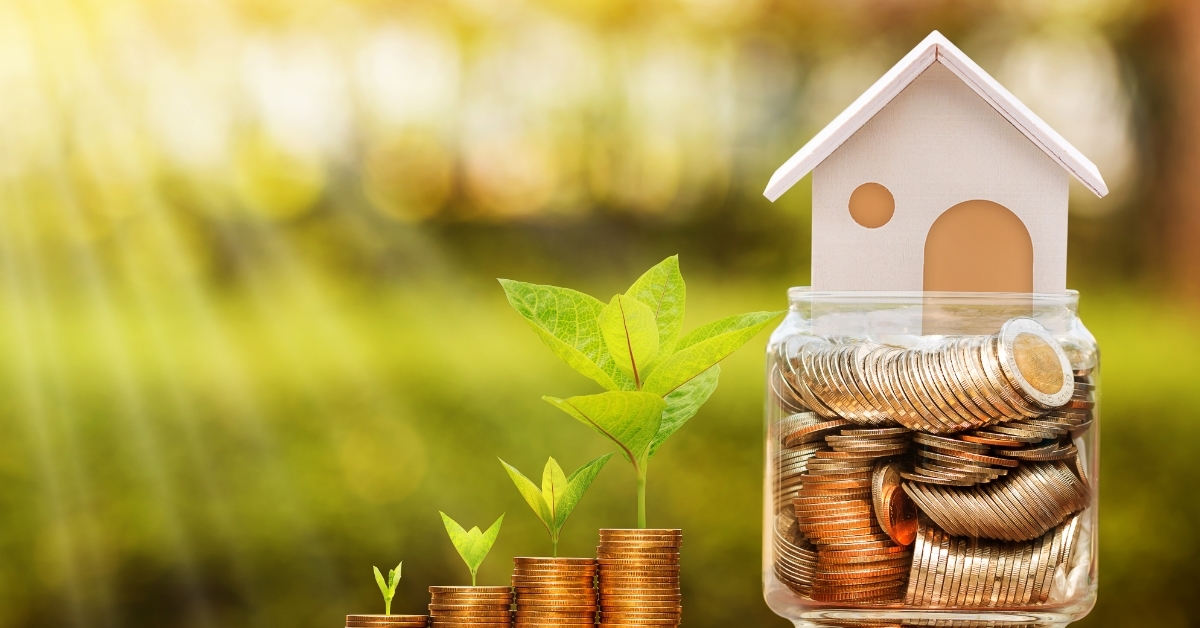 coins with tree growing investment concept