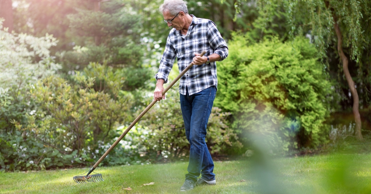 senior man raking leaves 