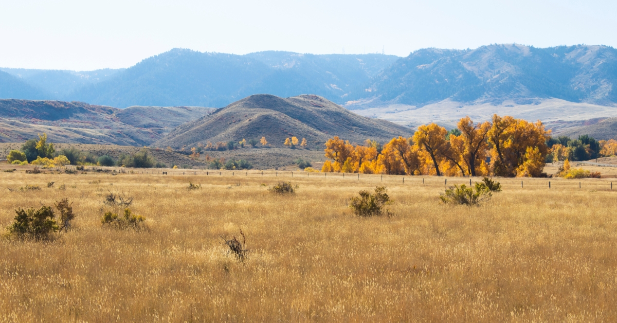 Fall in Capser, Wyoming