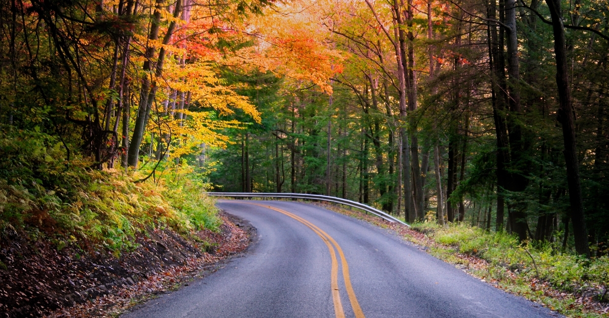 Beautiful Autumn Drive