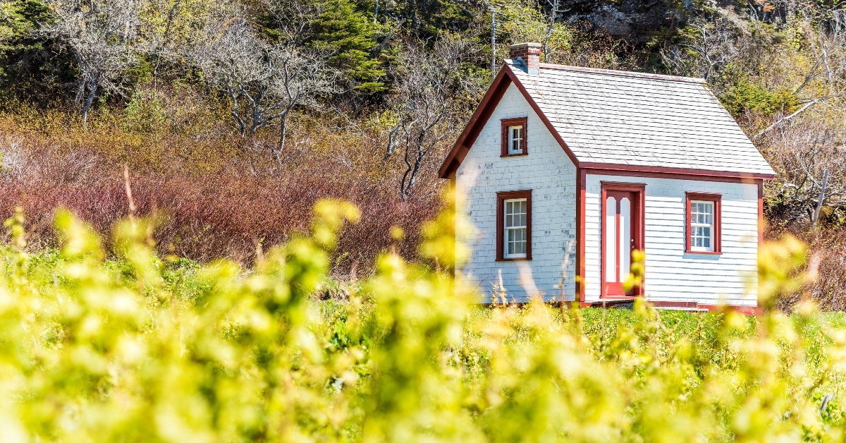wooden house cottage