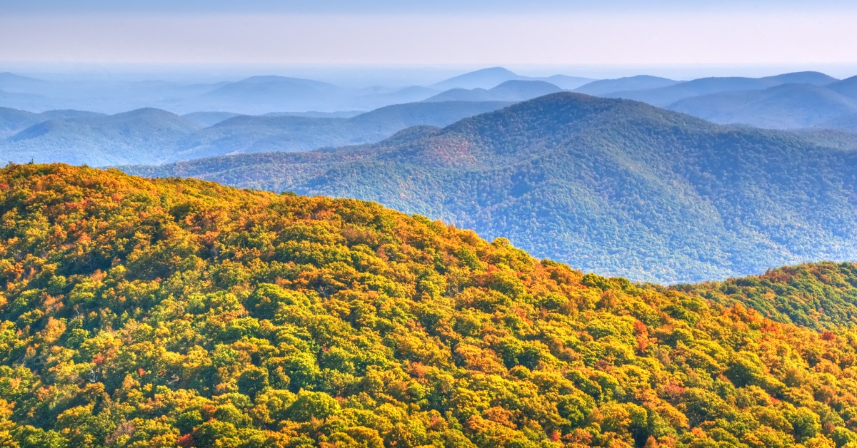 brasstown bald georgias tallest mountain