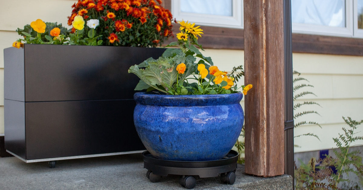 Planters filled with fall colors