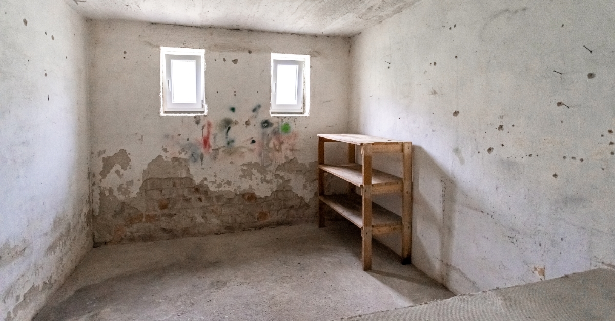 old cellar with mold and shelves
