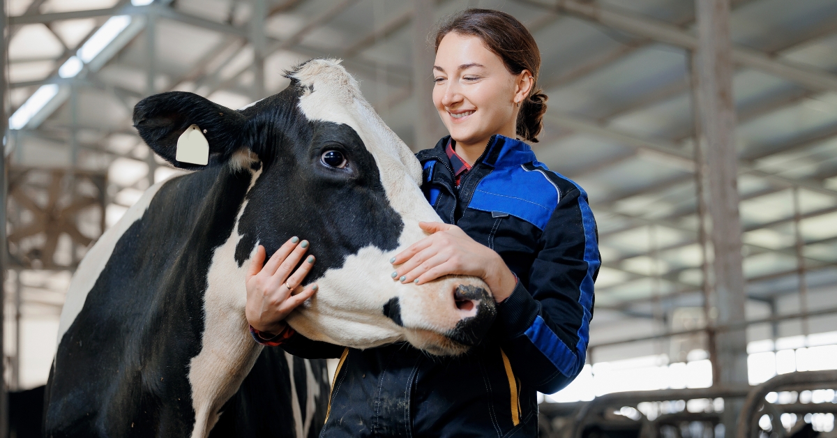 Farm worker hugging cow