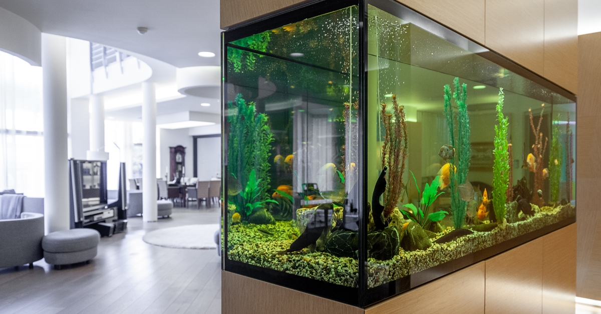 large built in aquarium